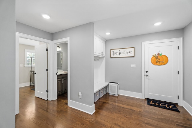 foyer entrance featuring dark hardwood / wood-style floors