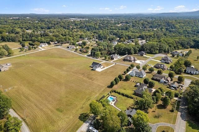 bird's eye view