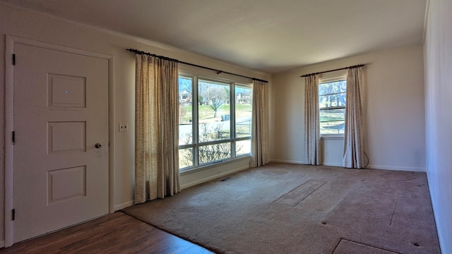 interior space featuring wood finished floors, a wealth of natural light, and baseboards