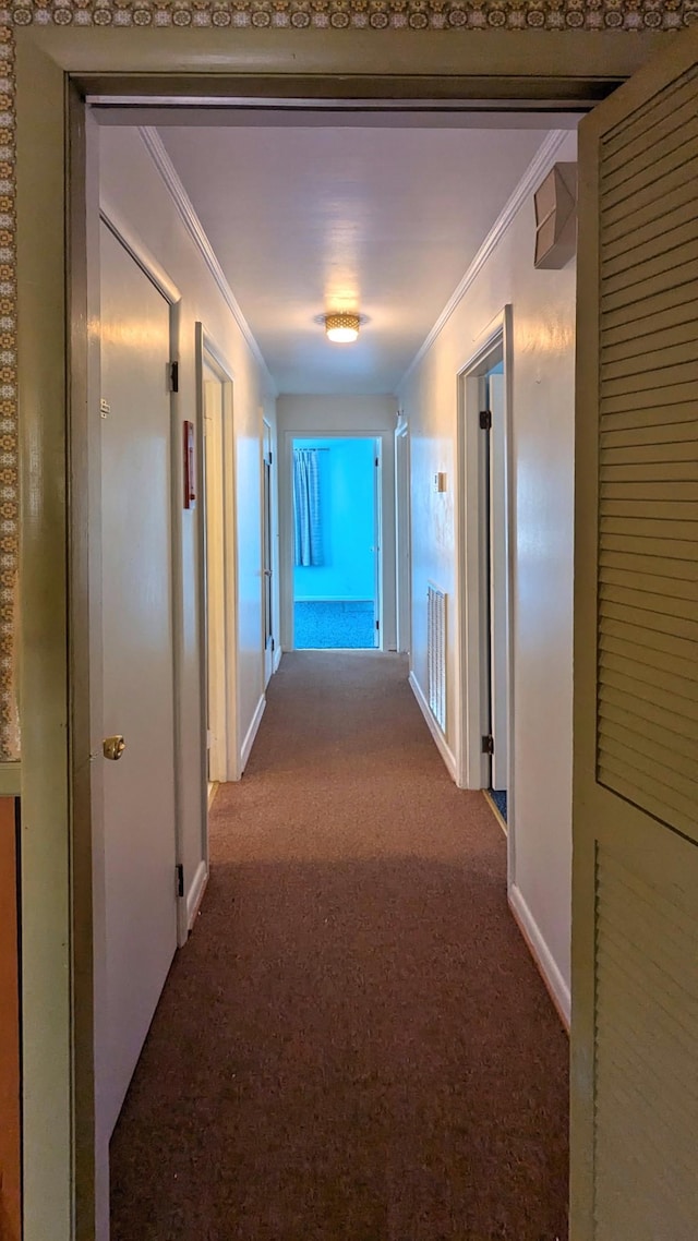 corridor with carpet floors, ornamental molding, and baseboards