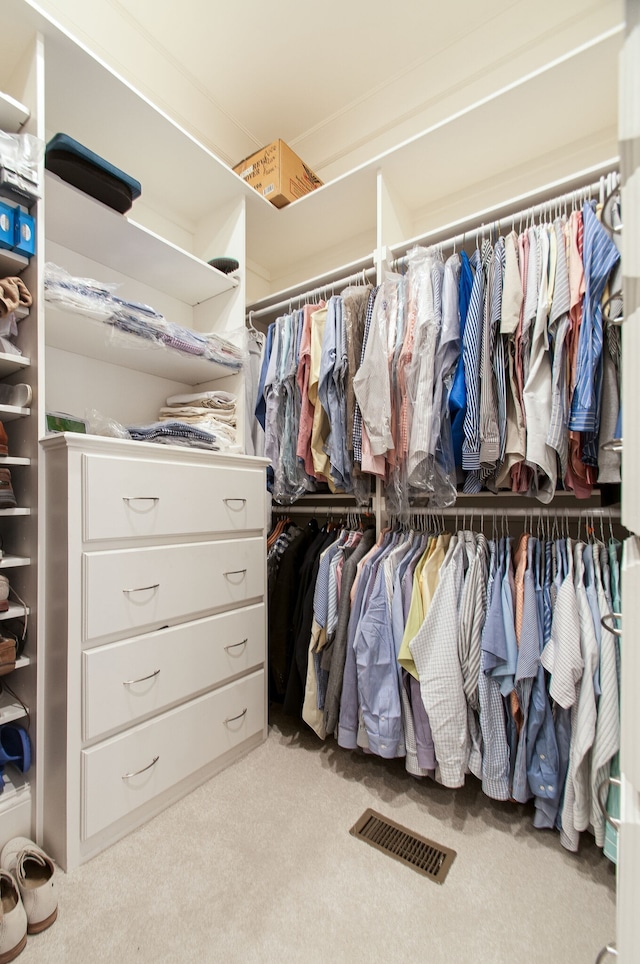 spacious closet with light carpet