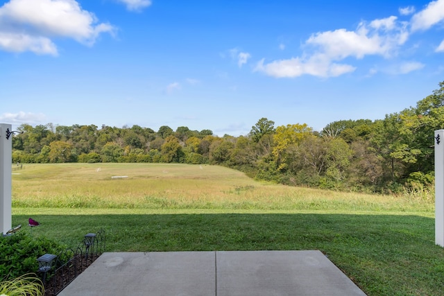 view of yard featuring a patio area