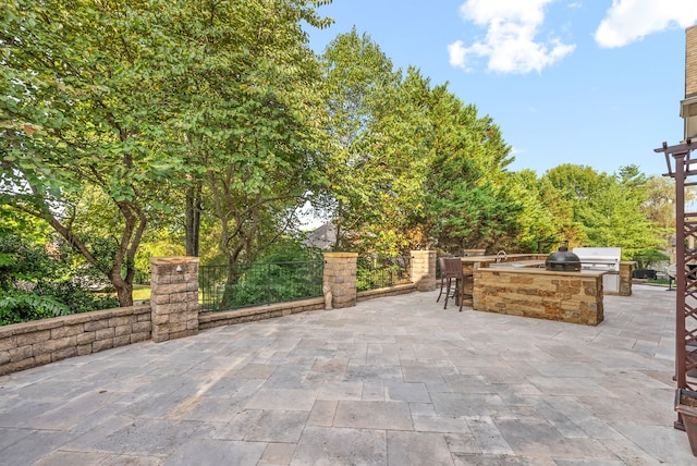 view of patio / terrace with exterior kitchen