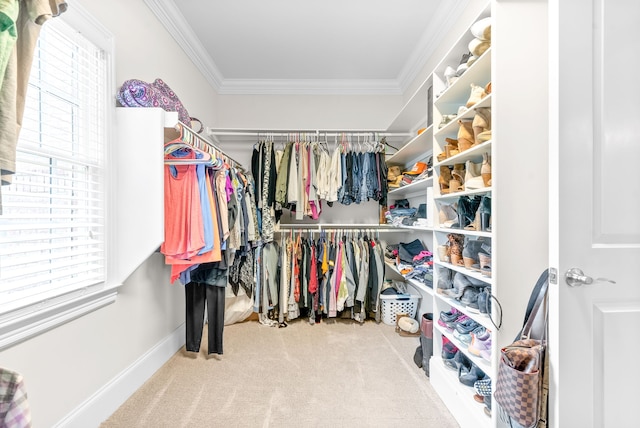 walk in closet featuring carpet floors