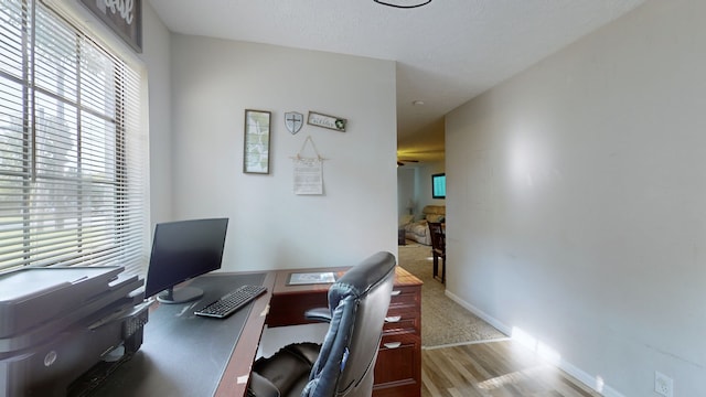 office space with a healthy amount of sunlight and light wood-type flooring