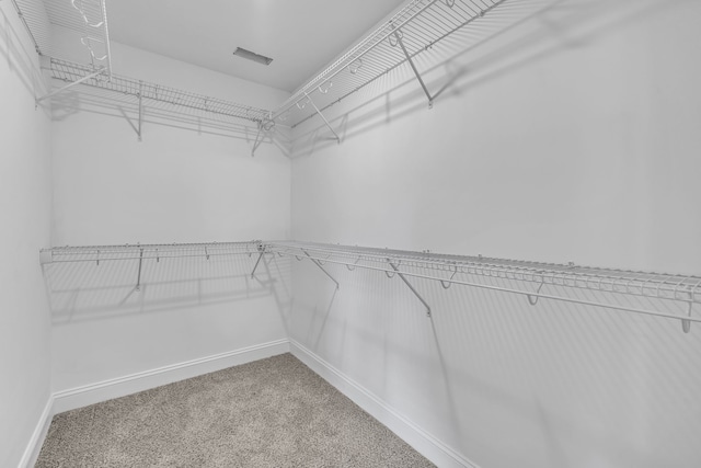 walk in closet featuring carpet flooring