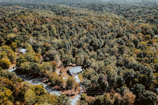 bird's eye view