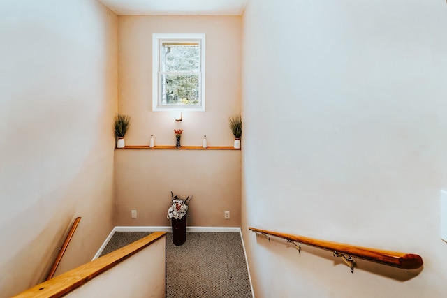 stairway featuring carpet floors