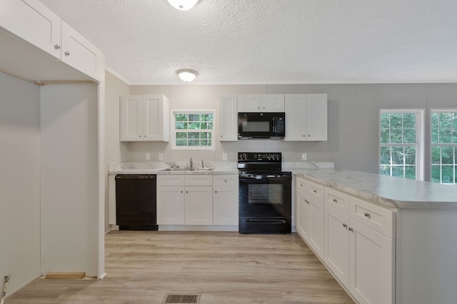 kitchen featuring black appliances, plenty of natural light, light hardwood / wood-style flooring, and sink