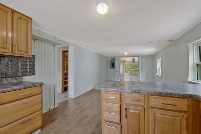 kitchen with tasteful backsplash, light hardwood / wood-style flooring, and ceiling fan