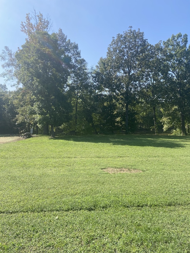 390 Duck Blind Rd, Clifton TN, 38425 land for sale