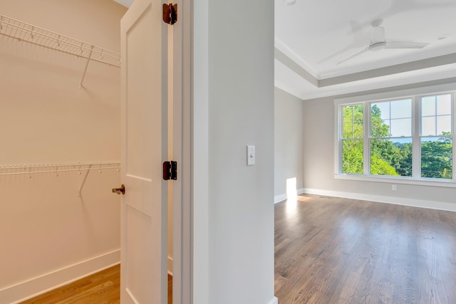 bathroom with hardwood / wood-style floors, a tray ceiling, and ceiling fan