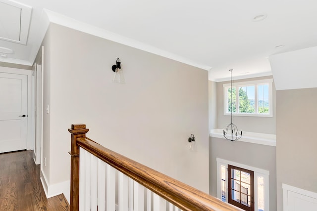 hall featuring ornamental molding and dark hardwood / wood-style floors