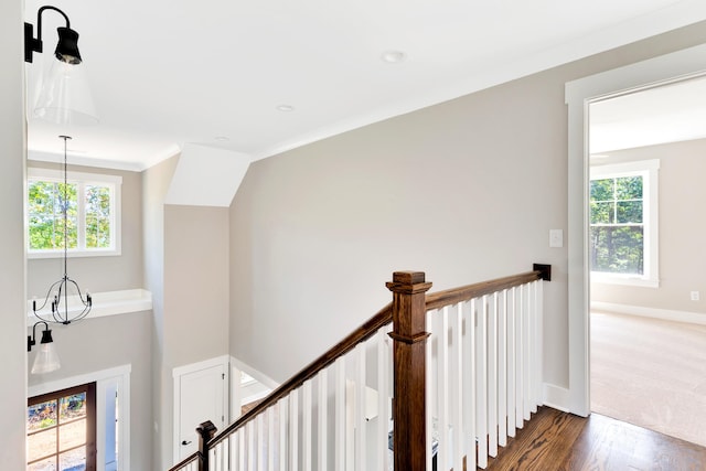 hall with hardwood / wood-style flooring, a healthy amount of sunlight, ornamental molding, and an inviting chandelier