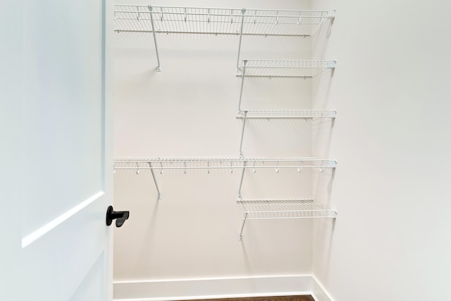 view of walk in closet