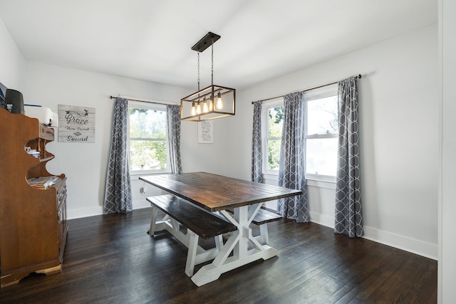 dining room with a wealth of natural light and dark wood-type flooring