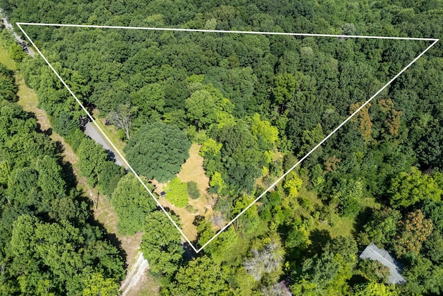 739 Stony Point Mtn Rd, Doyle, TN 38559