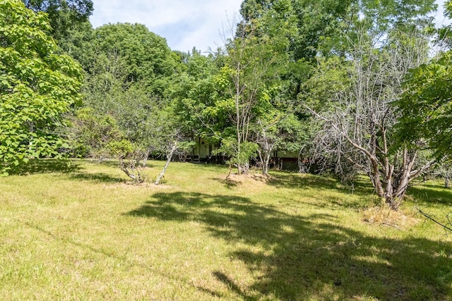739 Stony Point Mtn Rd, Doyle, TN 38559