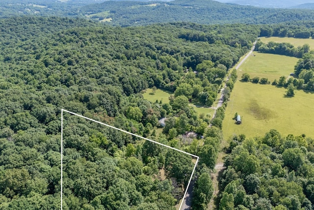 739 Stony Point Mtn Rd, Doyle, TN 38559