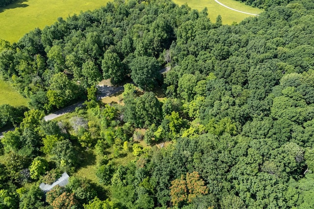739 Stony Point Mtn Rd, Doyle, TN 38559