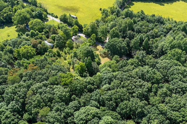 739 Stony Point Mtn Rd, Doyle, TN 38559