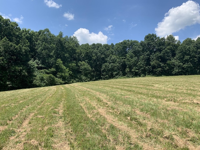 5756 Green Chapel Rd, Franklin, TN 37064 - photo 15