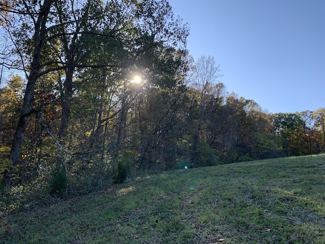 5756 Green Chapel Rd, Franklin, TN 37064 - photo 16