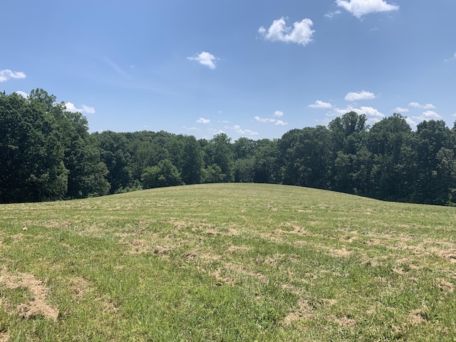 5756 Green Chapel Rd, Franklin, TN 37064 - photo 3