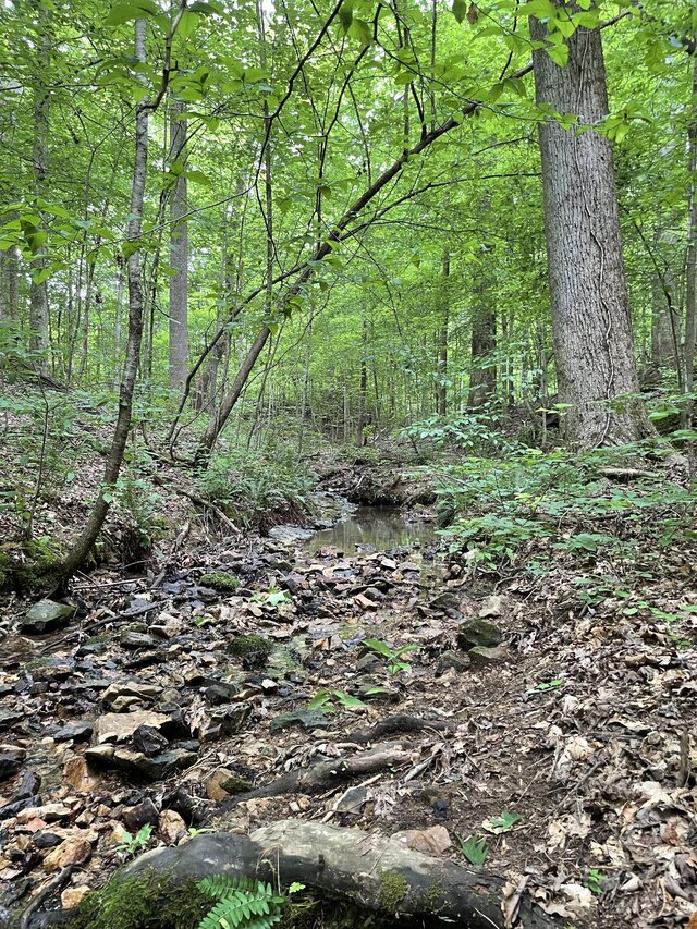 5756 Green Chapel Rd, Franklin, TN 37064 - photo 20