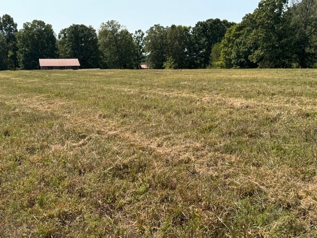 view of yard featuring a rural view