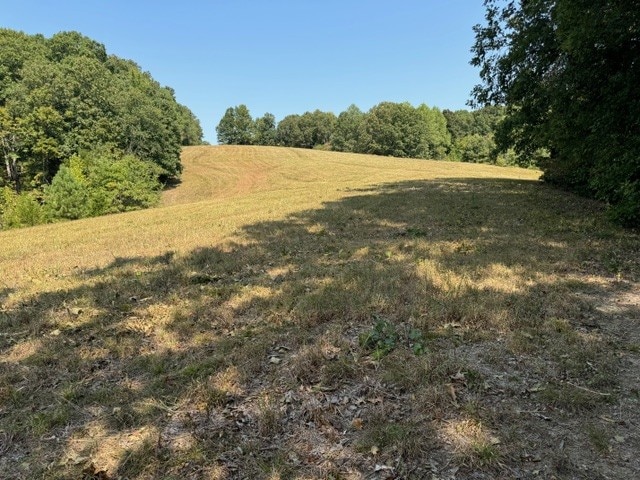 view of landscape with a rural view