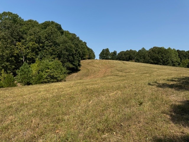 view of nature featuring a rural view