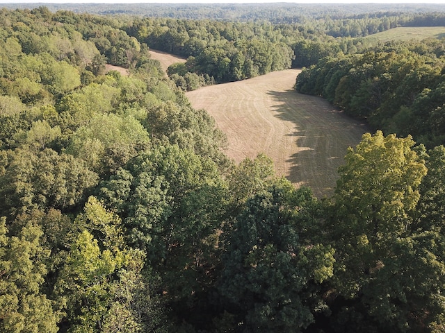 drone / aerial view featuring a rural view