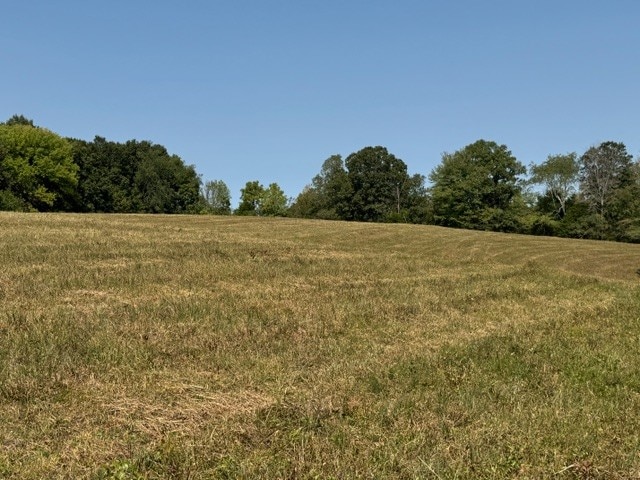 view of landscape featuring a rural view