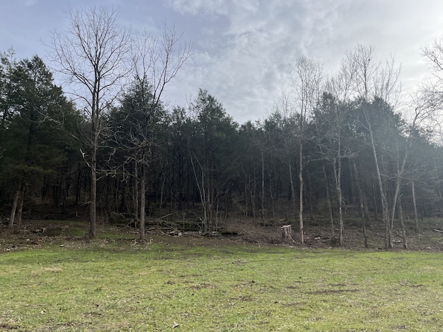 0 Stonewall Hwy, Carthage TN, 37030 land for sale