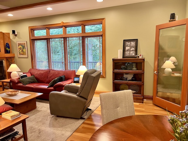 living room featuring light wood-type flooring