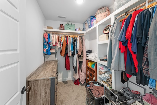 spacious closet featuring carpet flooring