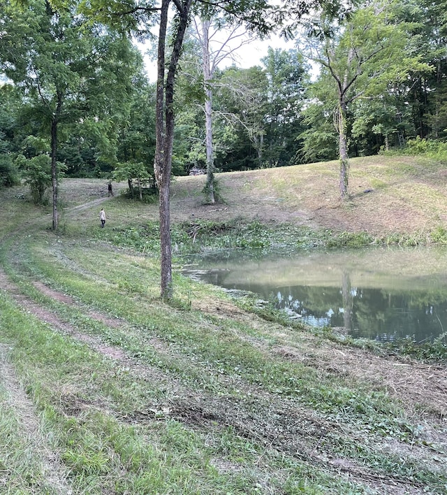 view of yard featuring a water view