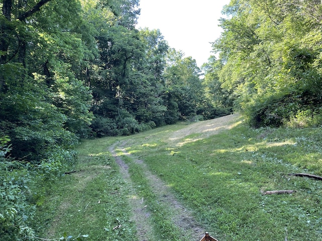 view of road