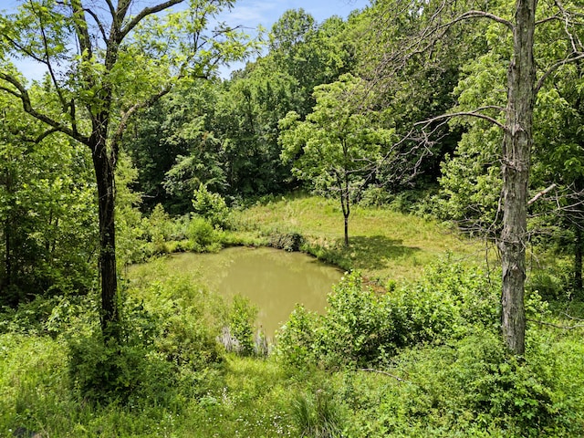 view of landscape with a water view