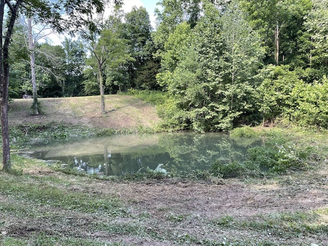 view of nature featuring a water view