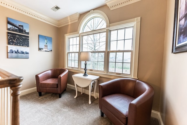 sitting room featuring carpet floors