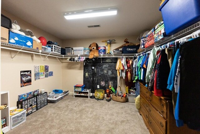 233 Nine Mile Cross Rd W, Pikeville, TN 37367 - spacious closet with carpet flooring and visible vents