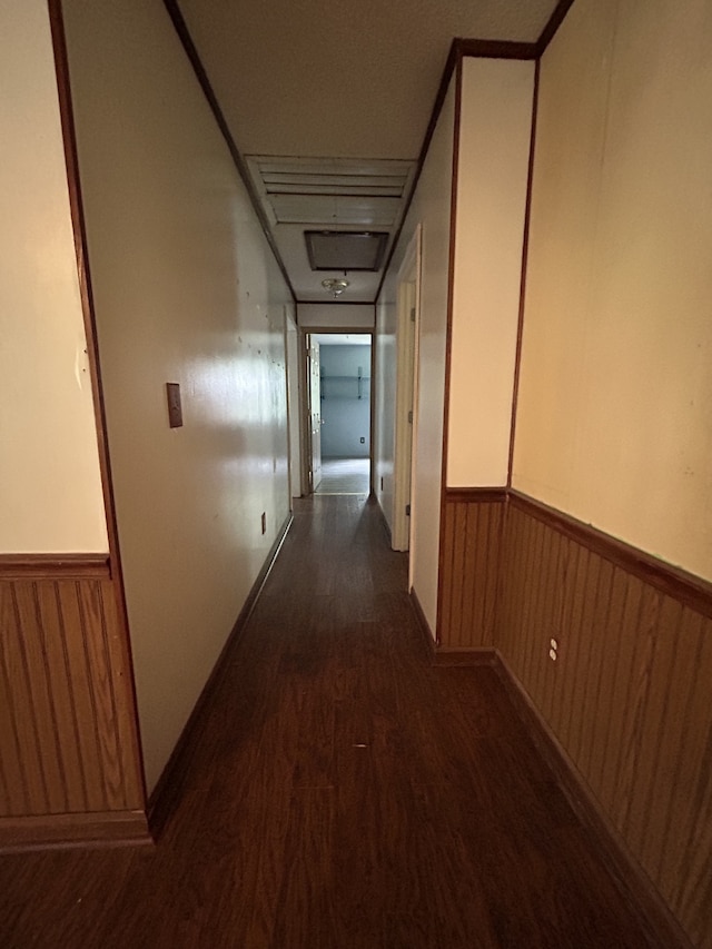 corridor with dark hardwood / wood-style floors and wood walls