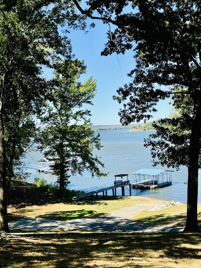 dock area with a water view