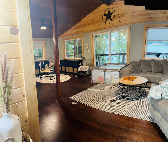 living room featuring lofted ceiling and hardwood / wood-style floors