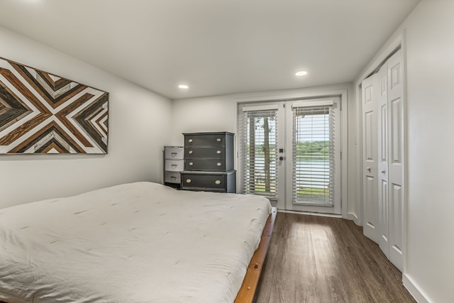 bedroom featuring dark wood-type flooring and a closet