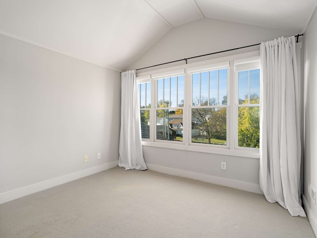 unfurnished room with vaulted ceiling, carpet, and a wealth of natural light