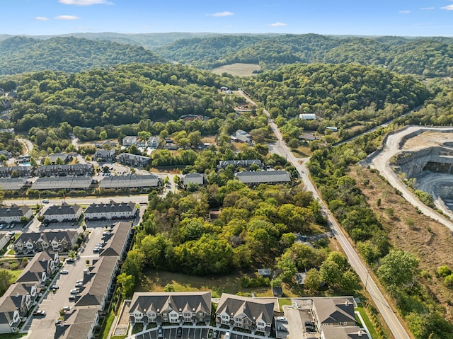 bird's eye view