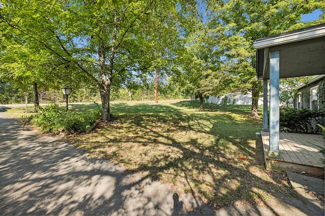 view of yard featuring a deck